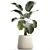 Exotic Tropical Plant Ensemble 3D model small image 6