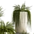 Tropical Asparagus Plant Set 3D model small image 3