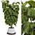 Indoor Fiddle Leaf Fig Plant Elegance 3D model small image 8