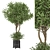 Set 905 Indoor Plants Collection 3D model small image 1