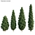 Premium 3D Plant Collection - Biota Orientalis 3D model small image 1