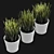 UV-Unwrapped Indoor Plants Model 3D model small image 5