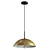  Modern Pendant Light Fixture 3D model small image 1