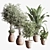 Minimalistic Indoor Plant Set 3D model small image 1