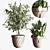 Minimalistic Indoor Plant Set 3D model small image 5