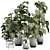 Botanical Bliss Indoor Plant 3D model small image 1