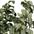 Botanical Bliss Indoor Plant 3D model small image 3