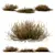 Carex Testacea Orange Sedge Collection 3D model small image 2