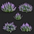 Nepeta Faassenii Flower Collection 3D model small image 2