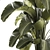 Tropical Plant Collection in Concrete Pot 3D model small image 5