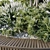  "Nature-Inspired Outdoor Plant Decor 3D model small image 4