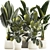 Tropical Plant Set in Concrete Vase 3D model small image 1