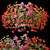 Pelargonium Hanging Plant Model 3D model small image 8