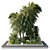 Tropical Outdoor Garden Plants Set 3D model small image 1