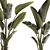 Exotic Tropical Plant Collection 3D model small image 3