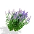 Hybrid Agastache Flower 3D Models 3D model small image 5