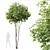 Title: Premium Ash Tree Models 3D model small image 1