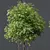 Title: Premium Ash Tree Models 3D model small image 3