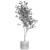 Ginkgo Biloba Decor Tree in Concrete Pot 3D model small image 6