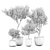 Elegant Interior Plant Decor 383 3D model small image 4