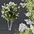 Crape Myrtle White Flower Plant 3D model small image 2