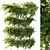 Ivy Hanging Plants Garden Set 3D model small image 1