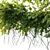 Ivy Hanging Plants Garden Set 3D model small image 4