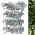 Ivy Hanging Plants Garden Set 3D model small image 5