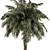 Royal Palm Trio Set 221 3D model small image 2