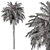 Royal Palm Trio Set 221 3D model small image 4