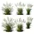 Mexican Feathergrass 3D Plant Models 3D model small image 1