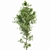 Alnus Glutinosa 3D Models Collection 3D model small image 5