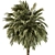 220 Date Palm Tree Set 3D model small image 2