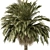 220 Date Palm Tree Set 3D model small image 3