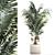 Modern Mini Decorative Indoor Palm 3D model small image 1