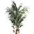 Modern Mini Decorative Indoor Palm 3D model small image 2