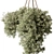 Botanical Beauty Hanging Plant 3D model small image 2