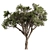  Stone Pine Tree Set 188 3D model small image 1