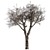 Dried Baobab Tree Set 215 3D model small image 2