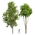  Dual Tree 3D Models Bundle 3D model small image 1