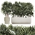 Modern White Plant Collection with Rhapis Palm 3D model small image 1