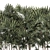 Modern White Plant Collection with Rhapis Palm 3D model small image 3