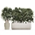 Modern White Plant Collection with Rhapis Palm 3D model small image 6