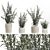 Modern White Blooming Plant Collection 3D model small image 1