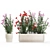 Modern White Planter Rose & Red Oleander Set 3D model small image 6