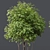 Dual 3D Tree Models Set 3D model small image 3