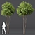 Dual 3D Tree Models Set 3D model small image 4