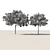 Emirates Ghaf Trees 3D Model 3D model small image 4