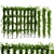 Dual Ivy Plant 3D Models 3D model small image 1