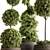 Topiary Ball Outdoor Plants 3D model small image 2